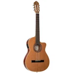 Ortega RCE180GT. Fixed Price $854.04.