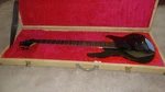 Esp Ltd B-50 With Custom Made Hard Case. Fixed Price $295.00.