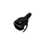 Ibanez IGAB2540-BK Double Electric/acoustic Gig Bag. Fixed Price $172.81.
