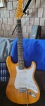 Oscar Schmidt By Washburn Electric Guitar. Fixed Price $224.99.