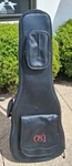 Taylor T5 Leather Gig Bag. Fixed Price $129.99.