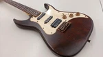 Axl Guitars AS-820 Electric. Fixed Price $321.58.