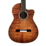 Cordoba Fusion 12 Nylon String A/e Guitar Cinnamon Burst B-stock. Fixed Price $749.99.