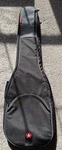Road Runner Acoustic/electric Guitar Padded Gig Bag 48 X 16. Fixed Price $32.99.