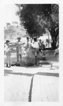 Vintage Outdoor Band Buskers Catalina Island 1940S Photo Musicians Bass Guitar. Fixed Price $24.50.