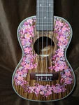 Lovely Sakura Hand-painted Concert Ukulele. Fixed Price $89.00.