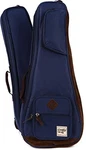 Ibanez Case (accommodates Up To Tenor Size Holds 2 Ukuleles) With. Fixed Price $150.32.