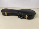 Tkl Archtop Mandolin Case 98123/BL. Fixed Price $100.31.
