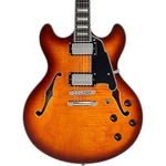 D'angelico Premier Dc Semi-hollow Guitar Dark Iced Tea Burst 197881473877 Rf. Fixed Price $799.99.