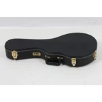 Tkl Prestigue Archtop Fstyle Mandolin Case 197881272340 Ob. Fixed Price $191.99.