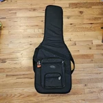 New Fender Deluxe Gig Bag Stratocaster/tele Electric Guitar Soft Case. Fixed Price $30.00.