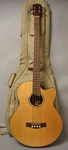 2004 Fender GB-41SCE Acoustic Bass Natural W/gig Bag. Fixed Price $475.00.