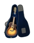 Reunion Blues Rb Expedition Acoustic Guitar Case Standard. Fixed Price $361.25.