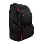 D'addario Backline Gear Transport Backpack - For Musicians Gig Bag.... Fixed Price $380.35.