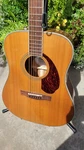 Fender Paramount PM-1 Standard Dreadnought Acoustic-electric With Case (2016). Fixed Price $558.95.