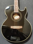 Epiphone PR-5E Eb Electric Acoustic/ritter Case Included. Fixed Price $547.99.