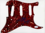 Allen Stone Signed Autograph Strat Guitar Pickguard Acoa Electric. Fixed Price $49.99.