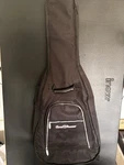 Runner Roadster - Black Nylon Guitar Gig Bag Soft Case, Single Capacity. Fixed Price $26.13.