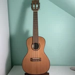 Kala Solid Cedar Top Slothead Concert Ukulele Ka-acp-ctg Pristine Condition. Fixed Price $249.00.