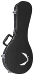 Dean Guitars Hs Hardshell Case For Style Mandolin. Fixed Price $109.48.
