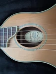 Washburn Rover RO10RWC Traveler Guitar. S/n SC15083407. * Opened Box Item. Fixed Price $299.00.