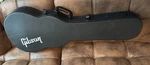 Gibson Les Paul Case. Fixed Price $150.00.