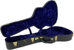 Tkl Hand Made 00 12-FRET Acoustic Guitar Case (for C.f. Martin, Collings, Bourge. Fixed Price $575.00.