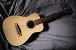 Martin & Co. Lxm Acoustic Guitar Good Condition. Fixed Price $565.15.