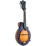 Washburn Florentine Cutaway Mandolin. Fixed Price $899.00.
