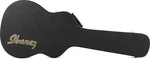 Ibanez TM50C Hardshell Acoustic Guitar Case - Talman Series. Fixed Price $199.99.