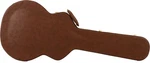 Gator Deluxe Wood Case Semi-hollowbody Electric Guitar. Fixed Price $159.99.