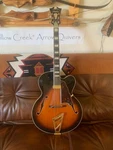 D'angelico EXL-1 Electric Guitar Free Shipping!. Fixed Price $900.00.