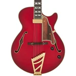 D'angelico Excel Ss Soho Single Cutaway Thinline Hollow Body Gig Bag. Fixed Price $1999.99.