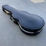 Ibanez MS100C Abs Hardshell Hollow Case For Size Guitar (black). Fixed Price $155.00.