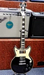 D'angelico Premier Brighton Electric Guitar W/ Gig Bag! New Old Stock 1/2 Price!. Fixed Price $399.00.