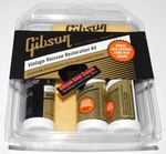 Gibson Les Paul Polish Cleaning Kit Vintage Reissue Restoration Sg Guitar Parts. Fixed Price $49.99.