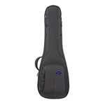 Reunion Blues Rb Expedition Les Paul Style Guitar Case. Fixed Price $439.99.