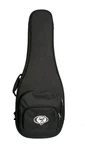 Protection Racket 7053-00 Classic Acoustic Guitar Case. Fixed Price $239.99.