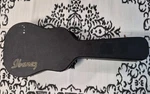 Ibanez Acoustic Guitar Case Tkl Hardshell. Fixed Price $109.00.