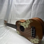Kala Voyage Collection Mahogany Concert Ukulele Ka-hibiscus-c With Bag. Fixed Price $60.00.