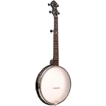 Gold Tone AC12 12" Ascale 5STRING Openback Banjo Matte Black. Fixed Price $399.99.