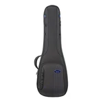 Reunion Blues Rbc Expedition Electric Guitar Case. Fixed Price $287.04.