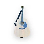 Burswood Esteban Musician Signed 6-STRING Acoustic Dreadnought Guitar W/ Case. Fixed Price $79.99.