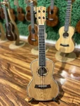 Kamehameha Ukulele KMC-16 Eq Concert Ash Wood High Gloss. Fixed Price $299.00.