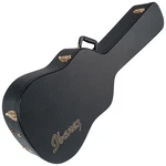 Ibanez AEG10C Acoustic Guitar Hardshell Case. Fixed Price $199.99.