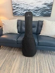 Palm Harbor Economy Electric Bass Guitar Gig Bag. Fixed Price $28.99.