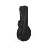 Crossrock F-style Mandolin Hardshell Case, Vintage Hardware,sponge Lining. Fixed Price $109.99.