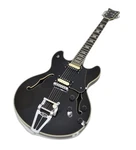 Schecter Corsair 2020 Semi Hollow Electric Guitar Gloss Black B0961. Fixed Price $1039.20.