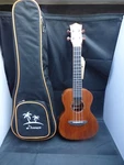 New. Donner. Concert. Electro Acoustic Ukulele. With Padded Gig Bag. Fixed Price $155.71.