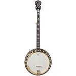 Washburn Sunburst 5-STRING Banjo. Fixed Price $2299.00.